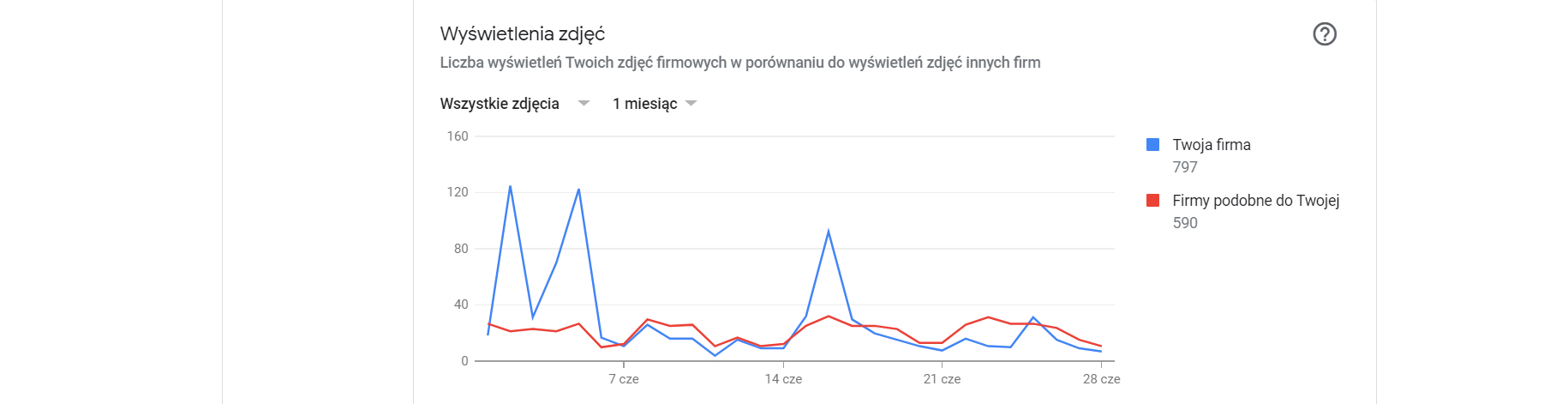 wyświetlanie zdjęć google moja firma